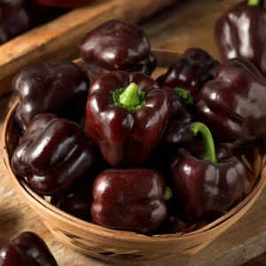 Mini Chocolate Sweet Bell Pepper Seeds – 20 Count, High-Yield, Compact Plant - Image 4