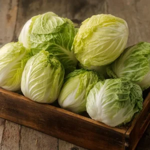 Mini Napa Cabbage Seeds - 50 Count Compact Chinese Cabbage for Containers - Image 3
