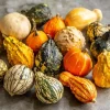 Mixed Gourd Seeds - Cucurbita Pepo, 15 Seeds for Colorful Garden Decor - Image 1