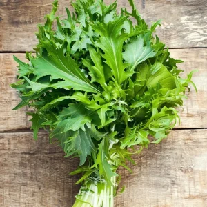 Mizuna Mustard Greens Seeds Heirloom 250 Seeds - Fast-Growing Leafy Greens - Image 3