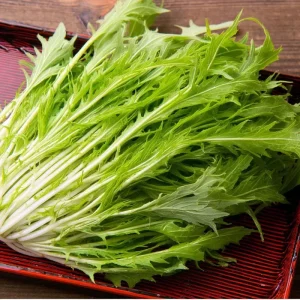 Mizuna Mustard Greens Seeds Heirloom 250 Seeds - Fast-Growing Leafy Greens - Image 1