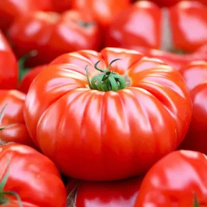 Mortgage Lifter Tomato Seeds - 30 Heirloom Large Beefsteak Seeds for Planting - Image 1
