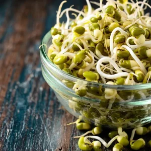 Mung Bean Sprouting Seeds - 500 Count - Easy to Grow Indoor Sprouts - Image 3