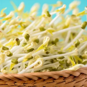 Mung Bean Sprouting Seeds - 500 Count - Easy to Grow Indoor Sprouts - Image 6