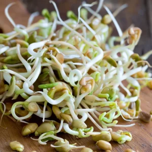 Organic Fenugreek Seeds 250 Count - Culinary Herb, Trigonella foenum-graecum - Image 4