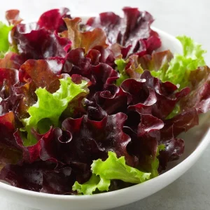 Organic Lollo Rosso Lettuce Seeds – Red Salad Bowl – 250 Seeds – Outdoor - Image 2