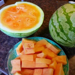 Organic Orange Tendersweet Watermelon Seeds 15 Count - Sweet, Juicy Heirloom - Image 2