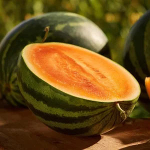 Organic Orange Tendersweet Watermelon Seeds 15 Count - Sweet, Juicy Heirloom - Image 3