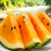 Organic Orange Tendersweet Watermelon Seeds 15 Count - Sweet, Juicy Heirloom - Image 1