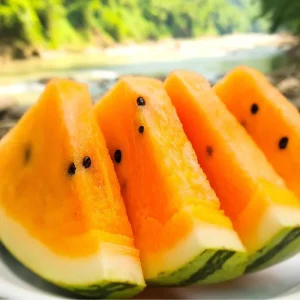 Organic Orange Tendersweet Watermelon Seeds 15 Count - Sweet, Juicy Heirloom - Image 1
