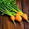 Organic Parisian Carrot Seeds - Heirloom Round Carrot Seeds - 250 Seeds - Image 1