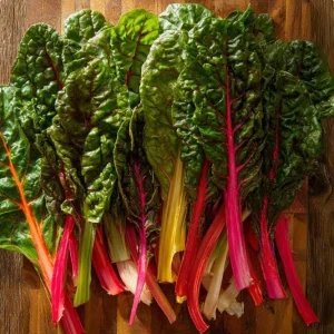 Organic Rainbow Swiss Chard Seeds - 50 ct Beta vulgaris - Vibrant Edible - Image 1