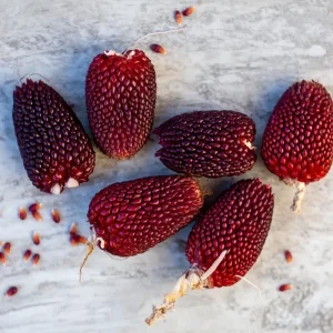 Organic Strawberry Popcorn Seeds - Heirloom Variety, Sweet Kernels, 30 Count - Image 4