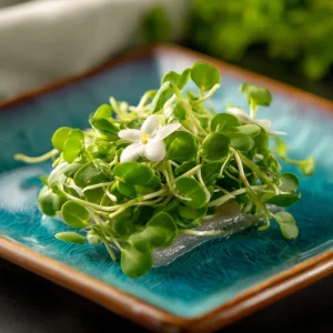 Organic Wasabi Mustard Microgreen Seeds - 10g Heirloom Spicy Flavor Brassica juncea - Image 3