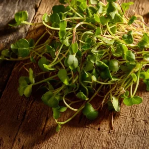 Organic Wasabi Mustard Microgreen Seeds - 10g Heirloom Spicy Flavor Brassica juncea - Image 4