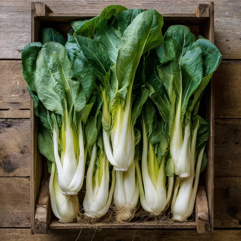 Pak Choi Chinese Cabbage Seeds - White Stem, 150 Count, Easy to Grow Asian Green - Image 2