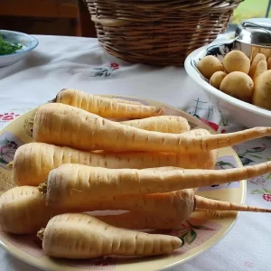 Parsnip Seeds - Heirloom Vegetable Seeds, Sweet Root, 200 Count for Outdoor Garden - Image 2