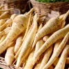 Parsnip Seeds - Heirloom Vegetable Seeds, Sweet Root, 200 Count for Outdoor Garden - Image 1