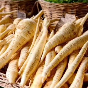Parsnip Seeds - Heirloom Vegetable Seeds, Sweet Root, 200 Count for Outdoor Garden - Image 1