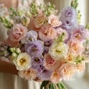 Pastel Mix Stock Flower Seeds - 25 ct, Edible, Sweet-Scented Blooms - Image 6