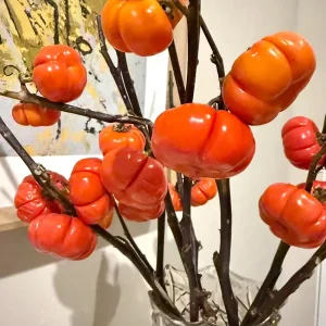 Pumpkin On A Stick Seeds - Ornamental Eggplant Heirloom Solanum integrifolium 15 Seeds - Image 2