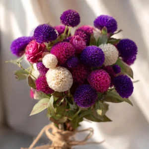 Purple Globe Amaranth Seeds - 50 Count | Long-Lasting Blooms, Gomphrena - Image 4