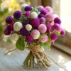 Purple Globe Amaranth Seeds - 50 Count | Long-Lasting Blooms, Gomphrena - Image 1