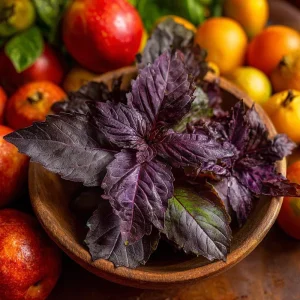 Purple Ruffles Basil Seeds - Heirloom Aromatic Herb, Deep Purple Leaves, 150 Seeds - Image 3