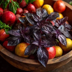 Purple Ruffles Basil Seeds - Heirloom Aromatic Herb, Deep Purple Leaves, 150 Seeds - Image 5