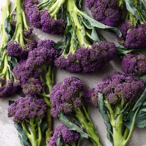 Purple Sprouting Broccoli Seeds - Heirloom Winter Vegetable - 150 Seeds - Image 4