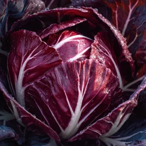 Radicchio Palla Rossa Seeds - 100 Count Classic Italian Chicory for Salads - Image 3