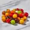Rainbow Mix Cherry Tomato Seeds - 25 Heirloom Multicolor Varieties for Garden - Image 1