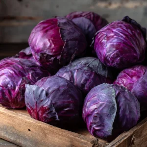 Red Acre Cabbage Seeds – Heirloom, Sweet & Crisp – 150 Seed Packet - Image 2