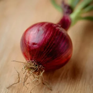 Red Creole Onion Seeds - Heirloom Short Day, 200 Seeds for Gardens - Image 4