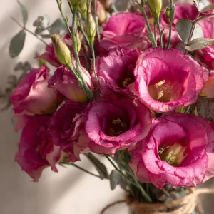 Red Lisianthus Seeds - Arena III F1 Eustoma Grandiflorum - 25 Seed Pack - Image 2