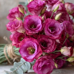 Red Lisianthus Seeds - Arena III F1 Eustoma Grandiflorum - 25 Seed Pack - Image 3