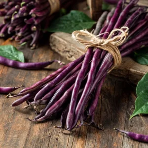 Royal Burgundy Bush Bean Seeds - Heirloom Purple Green Beans - 50 Seeds Packet - Image 4
