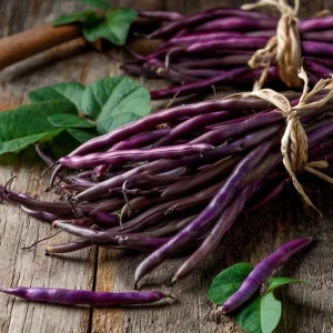 Royal Burgundy Bush Bean Seeds - Heirloom Purple Green Beans - 50 Seeds Packet - Image 1