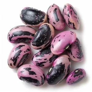 Scarlet Runner Bean Seeds - 15 Count Heirloom Edible & Ornamental Climbing Vines - Image 5