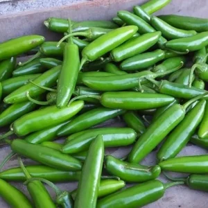 Serrano Pepper Live Plant - 2 Plants per 4-Inch Pot, Hot Peppers - Image 7