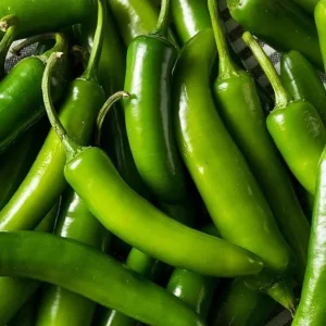 Serrano Pepper Live Plant - 2 Plants per 4-Inch Pot, Hot Peppers - Image 8