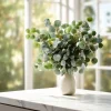 Silver Dollar Eucalyptus Seeds - 10 Count Eucalyptus Polyanthemos Fragrant - Image 1