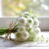 Snowmaiden Scabiosa Seeds - 50 Count - Elegant White Pincushion Flowers for Garden - Image 1