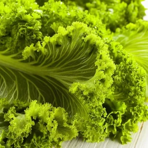 Southern Giant Curled Mustard Greens Seeds - Heirloom, 300 Seed Packet, Outdoor - Image 1