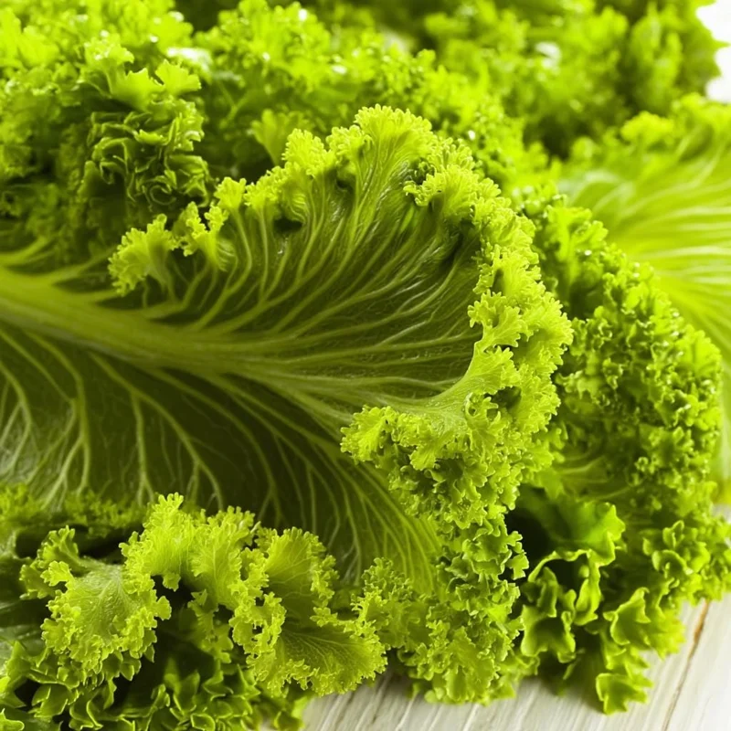 Southern Giant Curled Mustard Greens Seeds - Heirloom, 300 Seed Packet, Outdoor - Image 1