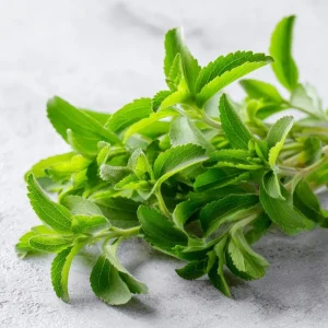 Stevia Sugar Leaf Seeds - 50 Count Heirloom Natural Sweetener Plant for Indoor/Outdoor Growing - Image 1