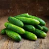 Straight Eight Cucumber Seeds - Classic Heirloom, Crisp, Long Fruit - 50 Seeds - Image 1