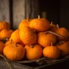 Sugar Pie Pumpkin Seeds - Heirloom Cucurbita pepo - 20 Seeds for Pie Making - Image 1
