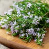 Summer Savory Herb Seeds - 200 Heirloom Culinary Satureja Hortensis Seeds for Outdoor Gardening - Image 1