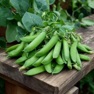 Super Sugar Snap Pea Seeds - High-Yield Climbing Climbing Variety, 20 Seeds - Image 2